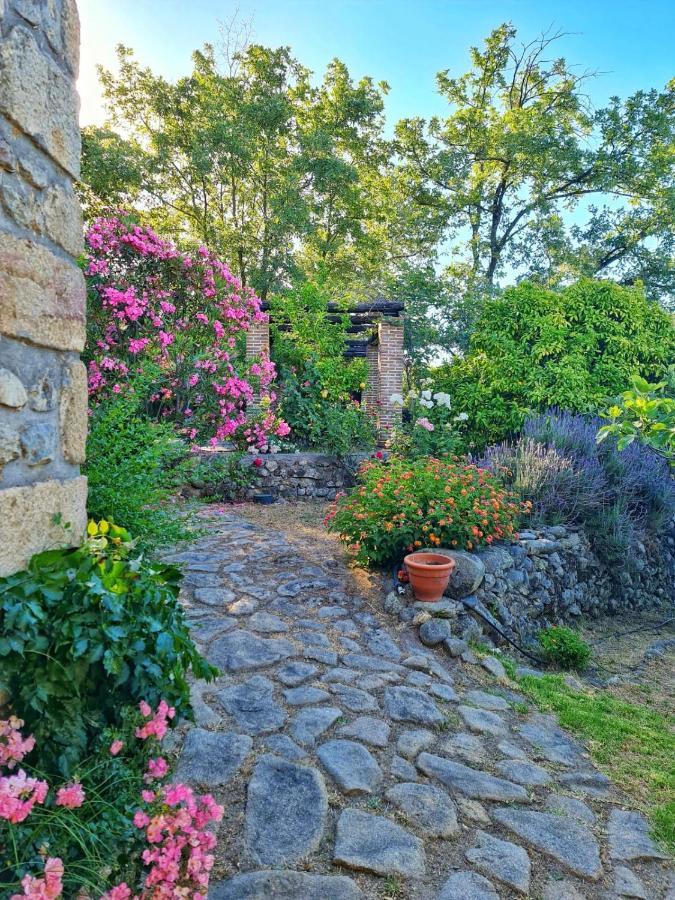 Casa Rural En Candeleda Con Piscina Y Un Maravilloso Jardin Dış mekan fotoğraf