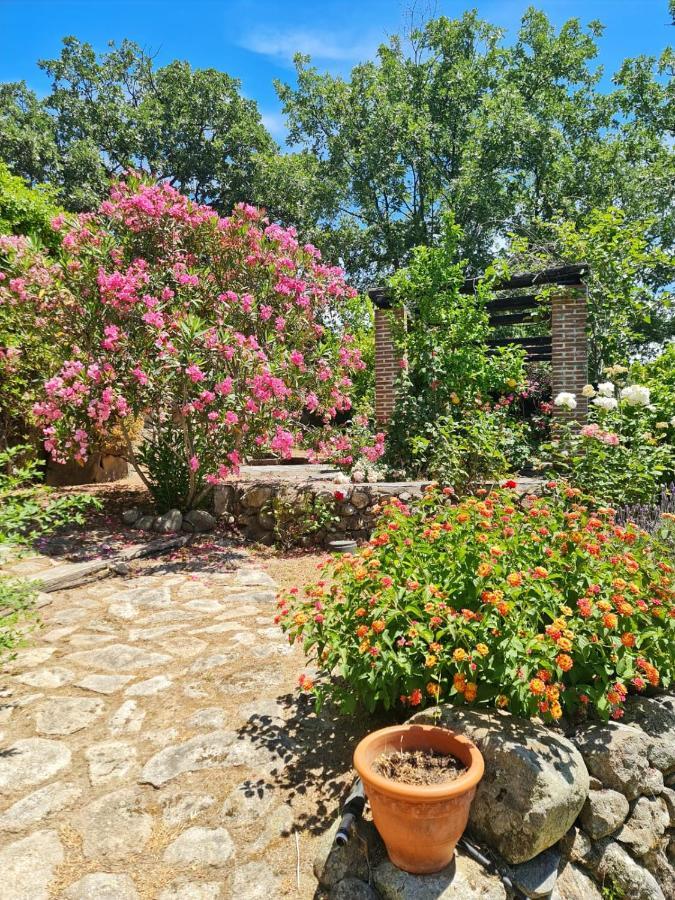 Casa Rural En Candeleda Con Piscina Y Un Maravilloso Jardin Dış mekan fotoğraf