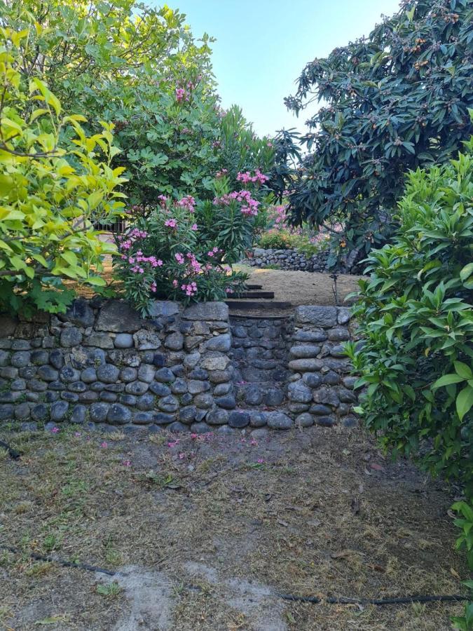 Casa Rural En Candeleda Con Piscina Y Un Maravilloso Jardin Dış mekan fotoğraf