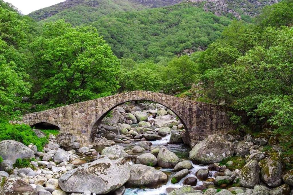 Casa Rural En Candeleda Con Piscina Y Un Maravilloso Jardin Dış mekan fotoğraf