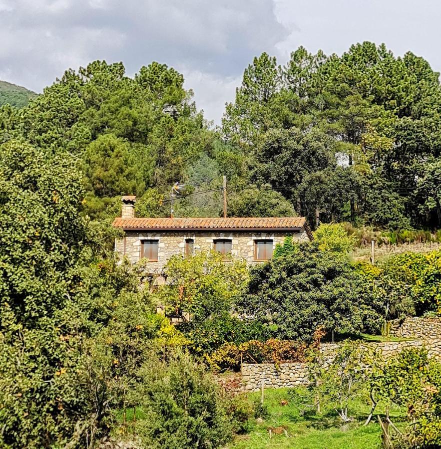 Casa Rural En Candeleda Con Piscina Y Un Maravilloso Jardin Dış mekan fotoğraf