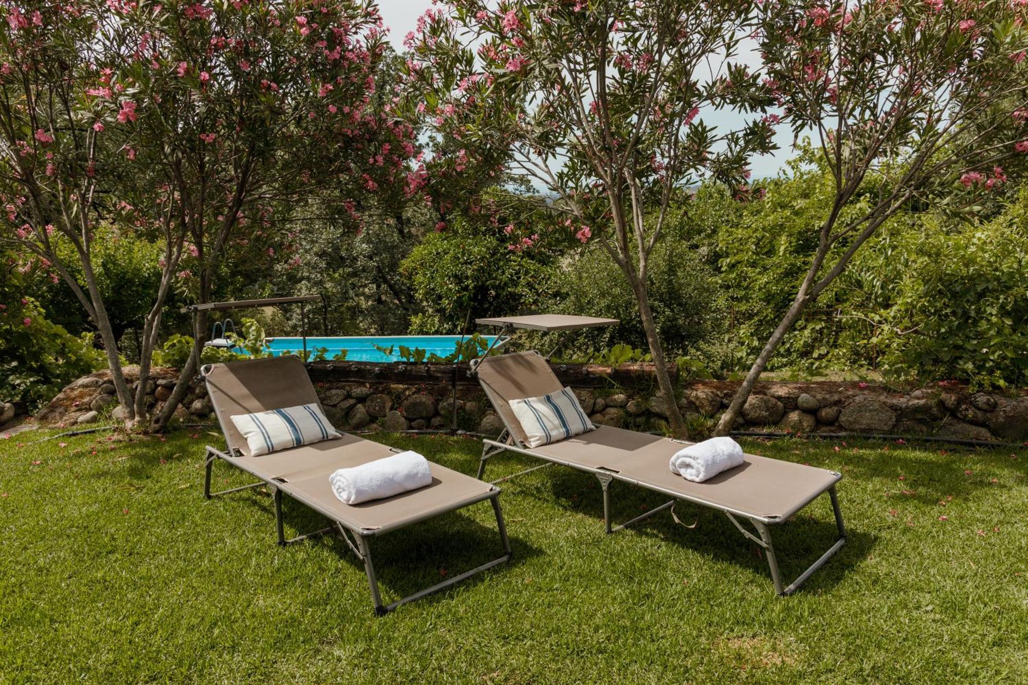 Casa Rural En Candeleda Con Piscina Y Un Maravilloso Jardin Dış mekan fotoğraf