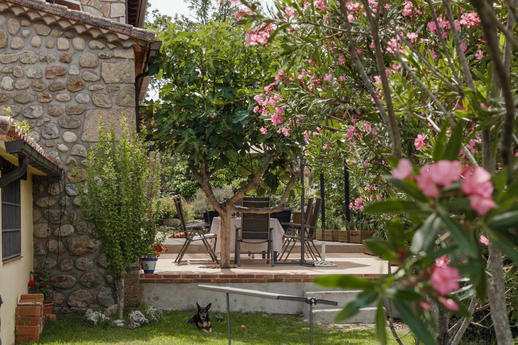 Casa Rural En Candeleda Con Piscina Y Un Maravilloso Jardin Dış mekan fotoğraf